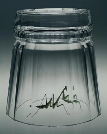 A cover of "IMAGERY" cluster. The owner is sba.xyz. The cluster consists of 240 elements.