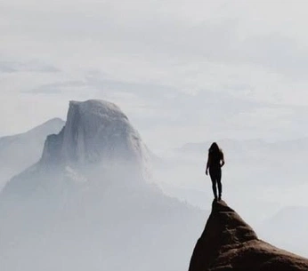 A cover of "aloy" cluster. The owner is curassavica. The cluster description is "horizon zd, fw". The cluster consists of 73 elements.