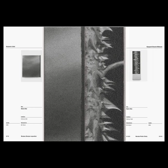 A cover of "04" cluster. The owner is bingan. The cluster consists of 46 elements.