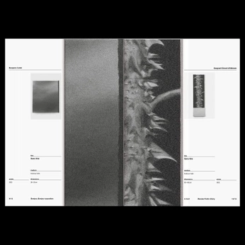 A cover of "lite reading" cluster. The owner is veronicatheoo. The cluster consists of 1 element.