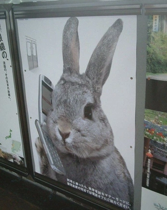 A cover of "advertisement" cluster. The owner is sdusanj. The cluster consists of 142 elements.