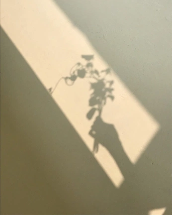 A cover of "Setting ideas" cluster. The owner is dragov. The cluster consists of 2 elements.