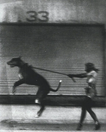 A cover of "Passion" cluster. The owner is misschar. The cluster consists of 1 element.