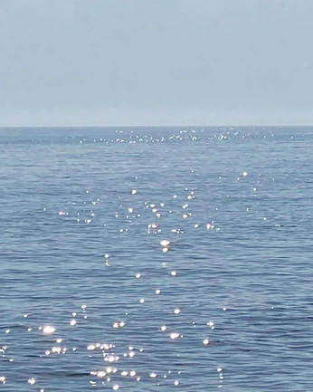 A cover of "Visually pleasant" cluster. The owner is munsa. The cluster consists of 3 elements.