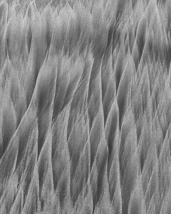 A cover of "texturas" cluster. The owner is pochis. The cluster consists of 1 element.