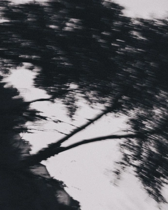 A cover of "black and white" cluster. The owner is pinkmango. The cluster consists of 11 elements.