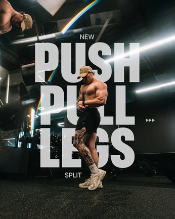 A cover of "January Education Phase" cluster. The owner is uncletyler. The cluster consists of 6 elements.