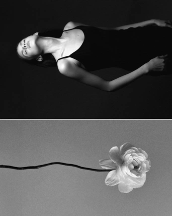 A cover of "Visual Poerty" cluster. The owner is vladislavsub. The cluster consists of 29 elements.