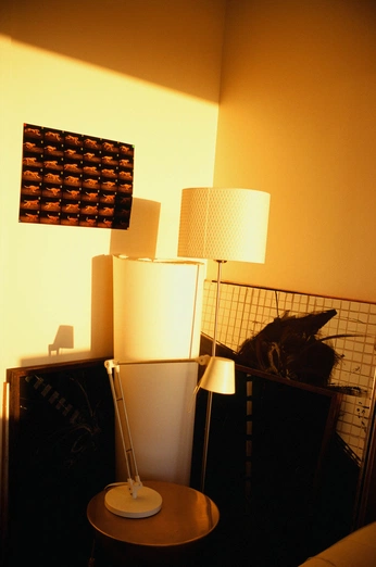 A cover of "Studio" cluster. The owner is leiomclaren. The cluster consists of 13 elements.