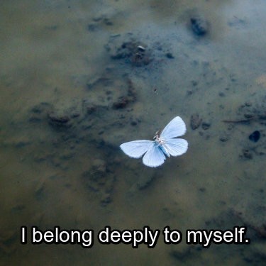 be my renaissance ::