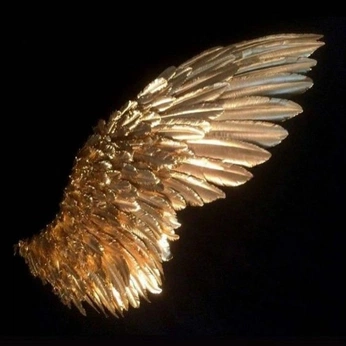 A cover of "oa" cluster. The owner is hexsymbol. The cluster consists of 229 elements.