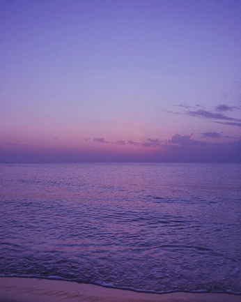 A cover of "Purple aesthetic" cluster. The owner is kormadrag. The cluster consists of 11 elements.