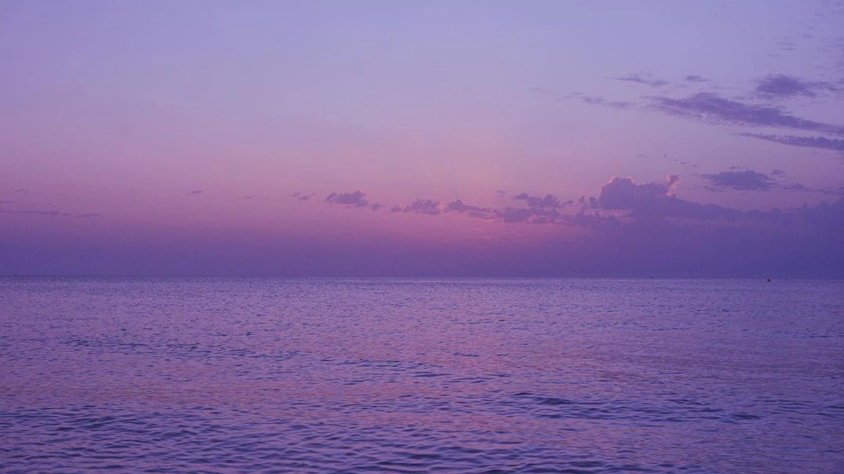 Unleashing the Power of Frolicking Meaning: Exploring the Cosmos of Emotions