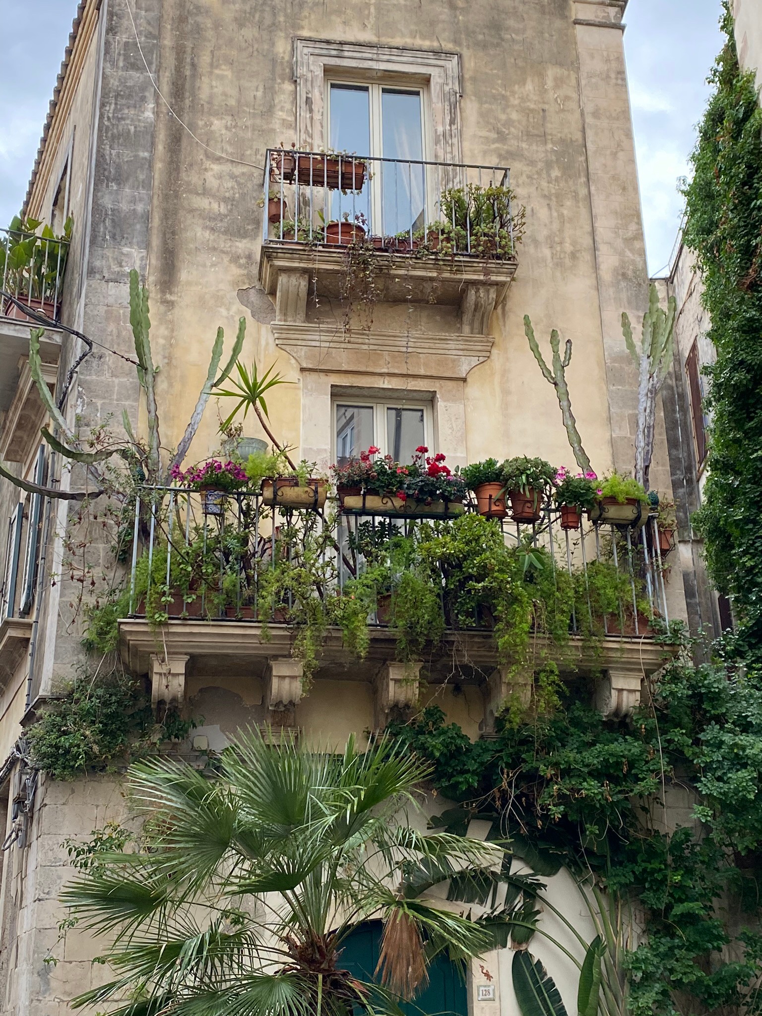 An image added by helene.raess on Dec 18, 2023. May present: window, plant, sky, building, house.