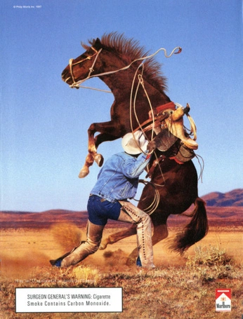 A cover of "yeehaw" cluster. The owner is catty. The cluster consists of 11 elements.