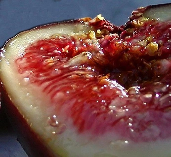 A cover of "FigMents of Imagination" cluster. The owner is everydaymagic. The cluster consists of 34 elements.