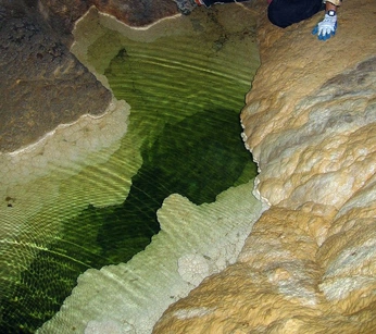 A cover of "Stalagmite" cluster. The owner is jeena. The cluster consists of 2 elements.