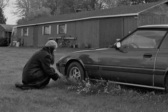 A cover of ":)" cluster. The owner is eliane.gendron. The cluster consists of 800 elements.