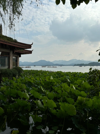 A cover of "COMPOSITION" cluster. The owner is blackroster. The cluster consists of 188 elements.