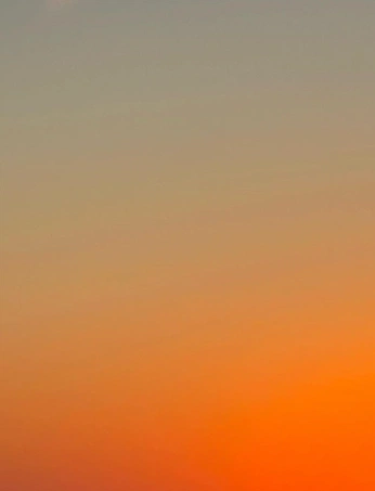 A cover of "Born Yesterday" cluster. The owner is can123. The cluster consists of 276 elements.