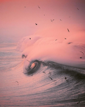 A cover of "EARTH" cluster. The owner is meilutis. The cluster consists of 2 elements.