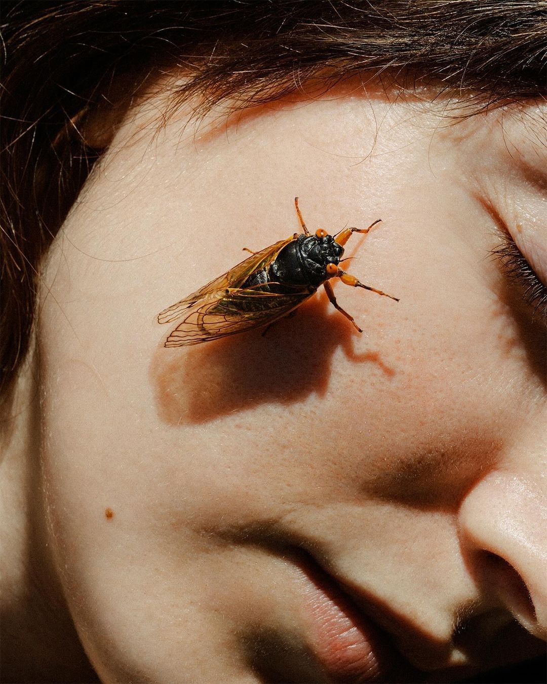 An Instagram carousel post added by aethereal.itf on Jun 05, 2024. The author is @atmos.