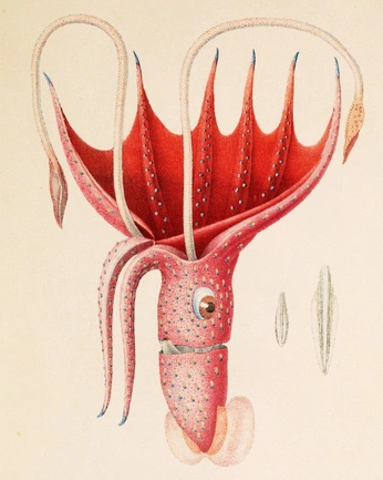 A cover of "Public Domain" cluster. The owner is majorsjam. The cluster consists of 34 elements.