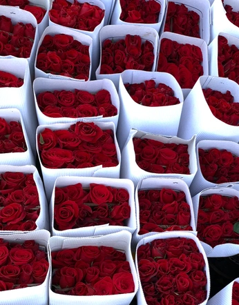 A cover of "love story" cluster. The owner is sophia4444. The cluster consists of 6 elements.