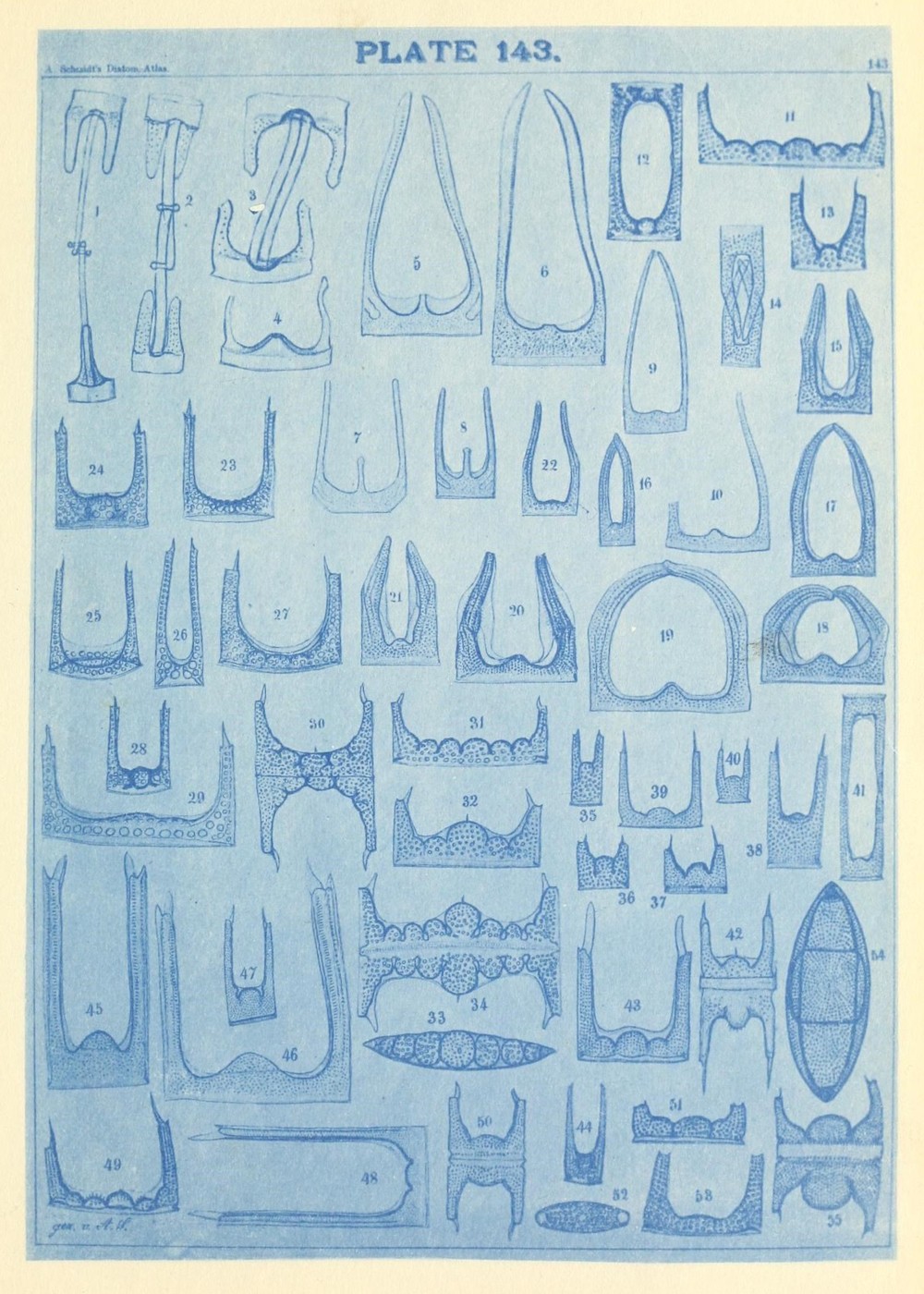58fadc0d-922f-41a9-a1b5-0e2d65adfef9
