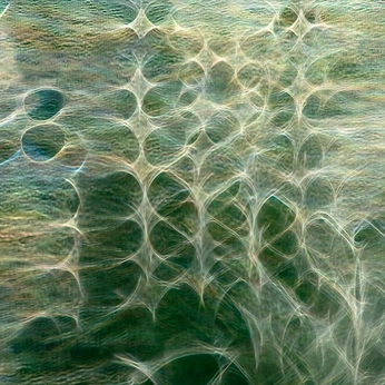 A cover of "ABBY KIRN by CECILIA" cluster. The owner is farmx. The cluster consists of 93 elements.