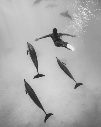 A cover of "People" cluster. The owner is karlschopf. The cluster description is "People master collections ". The cluster consists of 208 elements.