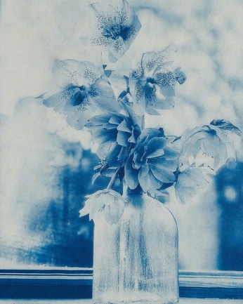 A cover of "Photo: Treatment" cluster. The owner is earlyclara. The cluster consists of 1 element.