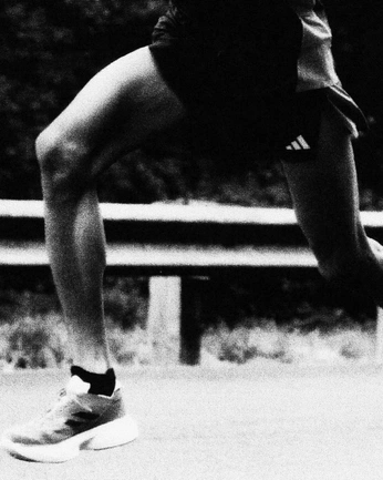 A cover of "hidalgo" cluster. The owner is tthiagoribeiro. The cluster consists of 42 elements.