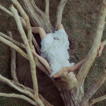 Cover of human being cluster