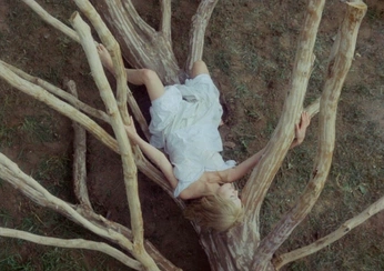 A cover of "Please in gray" cluster. The owner is nadekna. The cluster consists of 2 elements.