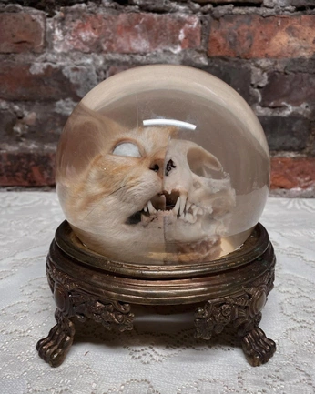 A cover of "Œbjektš" cluster. The owner is rsimone. The cluster consists of 2 elements.