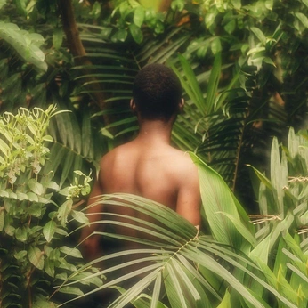 A cover of "Tropical Summer" cluster. The owner is arekay. The cluster consists of 19 elements.