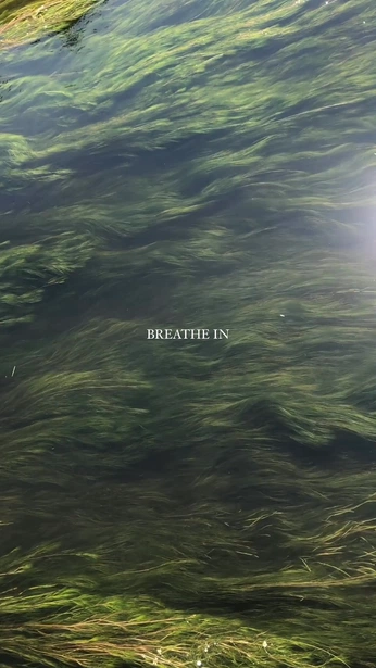 A cover of "calma" cluster. The owner is artificialisabel. The cluster consists of 60 elements.