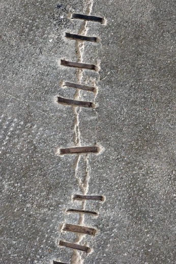 A cover of "Franken Stein" cluster. The owner is luciano.sauceda. The cluster consists of 22 elements.