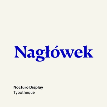 A cover of "Typo" cluster. The owner is daisybdubs. The cluster consists of 26 elements.