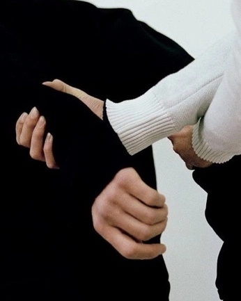 A cover of "SW: Hux + Phasma" cluster. The owner is akwardtractor. The cluster consists of 2 elements.