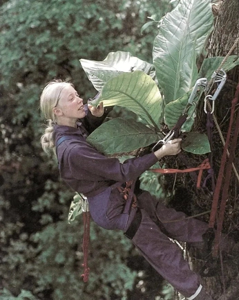 A cover of "vibes" cluster. The owner is cowgirlm. The cluster consists of 28 elements.