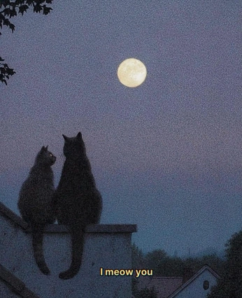 A cover of "venus day" cluster. The owner is nsmyth. The cluster consists of 32 elements.