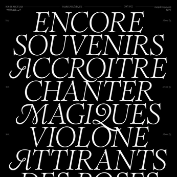 A cover of "Type" cluster. The owner is intimateflesh. The cluster consists of 41 elements.