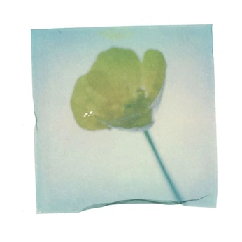 A cover of "effects" cluster. The owner is sharcom. The cluster consists of 21 elements.