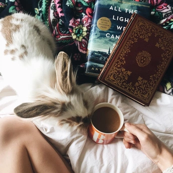 A cover of "cosy" cluster. The owner is bess. The cluster consists of 33 elements.