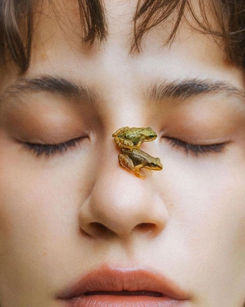 A cover of "Frosch Skulptur" cluster. The owner is lenacee. The cluster consists of 3 elements.