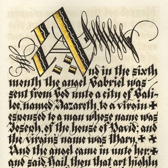 A cover of "The forge" cluster. The owner is clairetaylor. The cluster description is "inspo for my vibe coded gradient generator tool". The cluster consists of 7 elements.