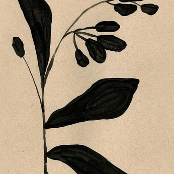 A cover of "Illustration" cluster. The owner is thestudiomarylou. The cluster consists of 11 elements.