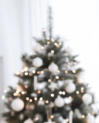 A cover of "festive inspiration" cluster. The owner is jolanta. The cluster consists of 22 elements.